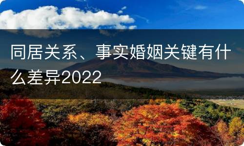 同居关系、事实婚姻关键有什么差异2022