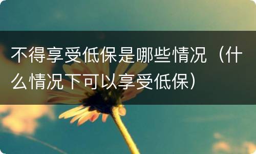 不得享受低保是哪些情况（什么情况下可以享受低保）