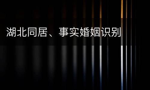 湖北同居、事实婚姻识别