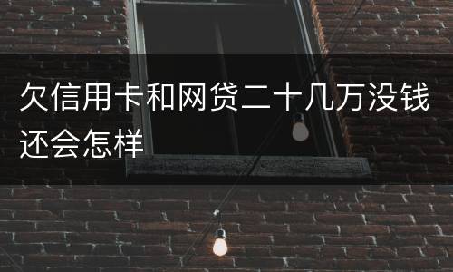 欠信用卡和网贷二十几万没钱还会怎样