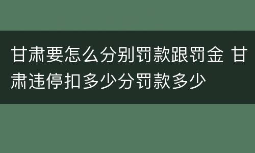 甘肃要怎么分别罚款跟罚金 甘肃违停扣多少分罚款多少