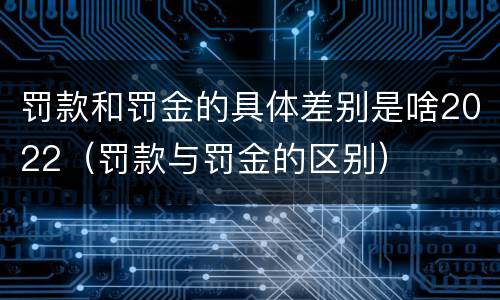 罚款和罚金的具体差别是啥2022（罚款与罚金的区别）