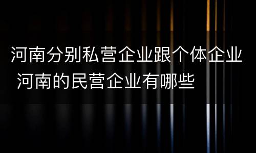 河南分别私营企业跟个体企业 河南的民营企业有哪些