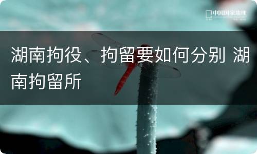 湖南拘役、拘留要如何分别 湖南拘留所