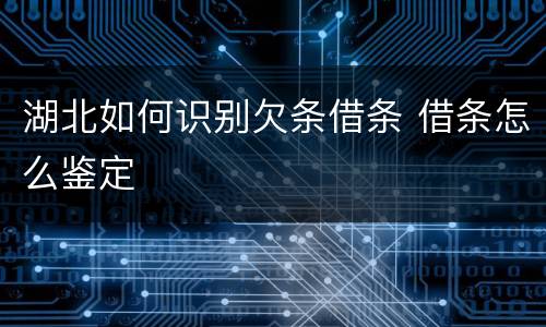 湖北如何识别欠条借条 借条怎么鉴定