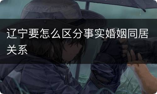 辽宁要怎么区分事实婚姻同居关系