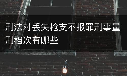 刑法对丢失枪支不报罪刑事量刑档次有哪些