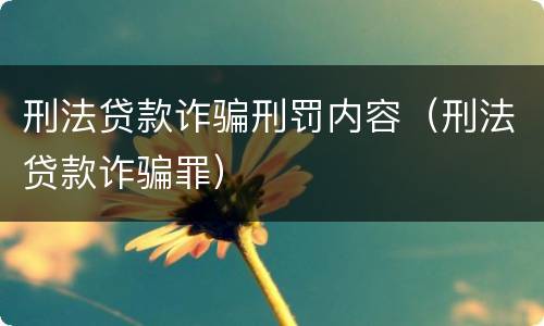 刑法贷款诈骗刑罚内容（刑法贷款诈骗罪）