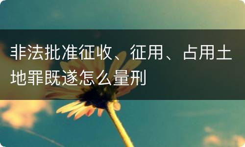 非法批准征收、征用、占用土地罪既遂怎么量刑