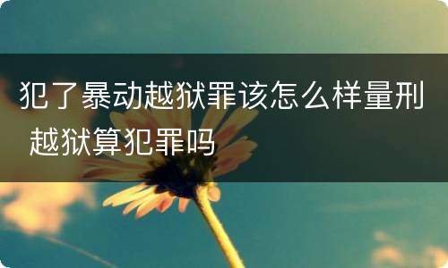 犯了暴动越狱罪该怎么样量刑 越狱算犯罪吗