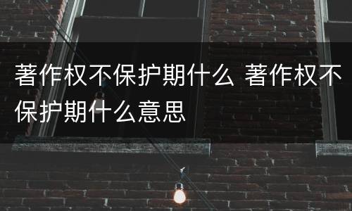 著作权不保护期什么 著作权不保护期什么意思