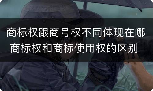 商标权跟商号权不同体现在哪 商标权和商标使用权的区别