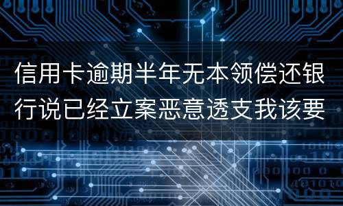 信用卡逾期半年无本领偿还银行说已经立案恶意透支我该要怎样办