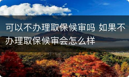 可以不办理取保候审吗 如果不办理取保候审会怎么样