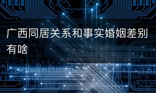 广西同居关系和事实婚姻差别有啥