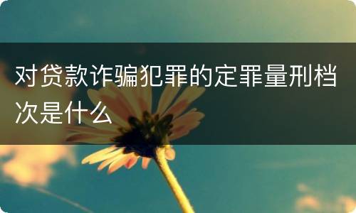 对贷款诈骗犯罪的定罪量刑档次是什么