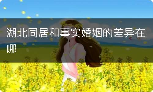 湖北同居和事实婚姻的差异在哪