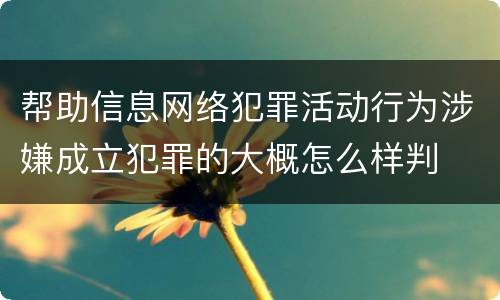 帮助信息网络犯罪活动行为涉嫌成立犯罪的大概怎么样判