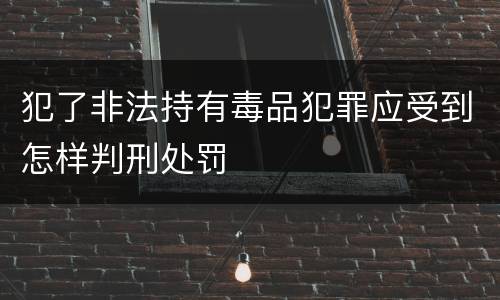 犯了非法持有毒品犯罪应受到怎样判刑处罚