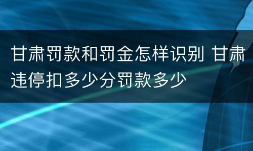 甘肃罚款和罚金怎样识别 甘肃违停扣多少分罚款多少