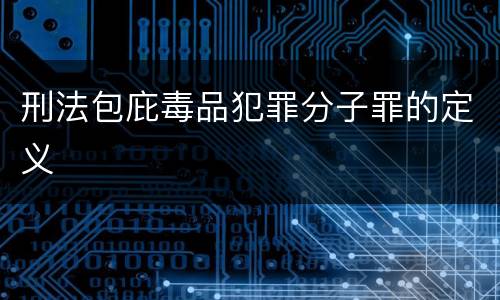 刑法包庇毒品犯罪分子罪的定义