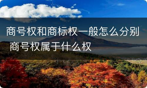 商号权和商标权一般怎么分别 商号权属于什么权