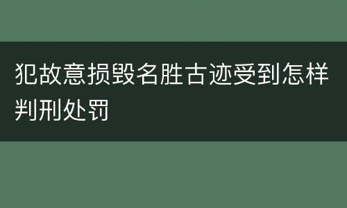 犯故意损毁名胜古迹受到怎样判刑处罚