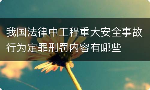 我国法律中工程重大安全事故行为定罪刑罚内容有哪些