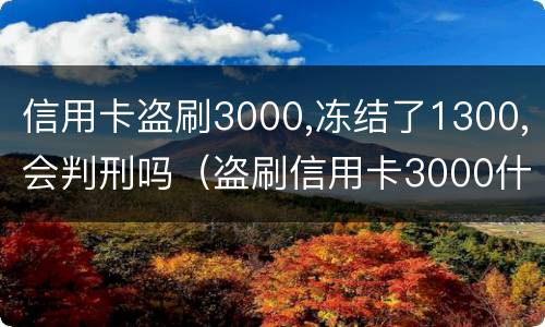 信用卡盗刷3000,冻结了1300,会判刑吗（盗刷信用卡3000什么后果）