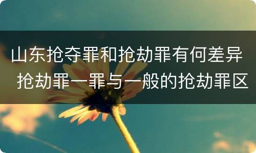 山东抢夺罪和抢劫罪有何差异 抢劫罪一罪与一般的抢劫罪区别