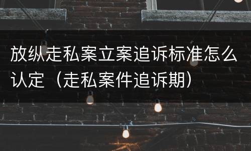 放纵走私案立案追诉标准怎么认定（走私案件追诉期）