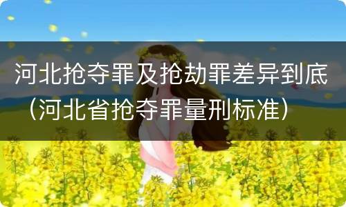 河北抢夺罪及抢劫罪差异到底（河北省抢夺罪量刑标准）
