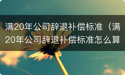 满20年公司辞退补偿标准（满20年公司辞退补偿标准怎么算）