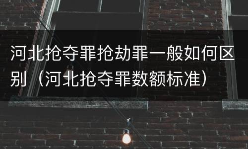 河北抢夺罪抢劫罪一般如何区别（河北抢夺罪数额标准）