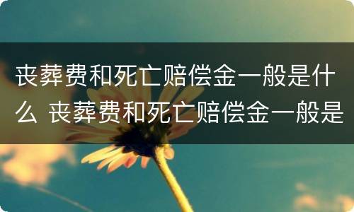 丧葬费和死亡赔偿金一般是什么 丧葬费和死亡赔偿金一般是什么时候给