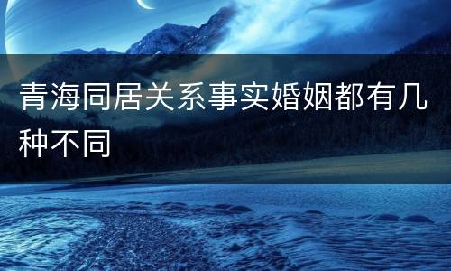 青海同居关系事实婚姻都有几种不同