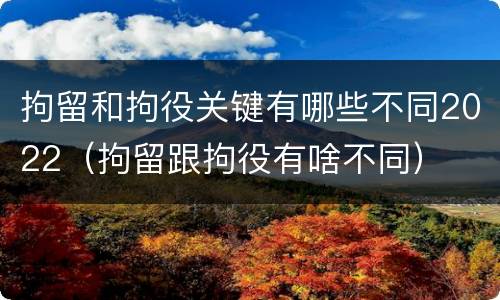 拘留和拘役关键有哪些不同2022（拘留跟拘役有啥不同）