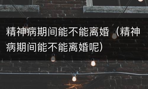 精神病期间能不能离婚（精神病期间能不能离婚呢）