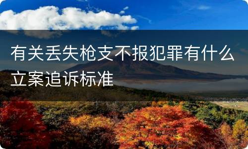 有关丢失枪支不报犯罪有什么立案追诉标准
