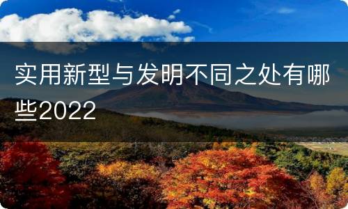 实用新型与发明不同之处有哪些2022