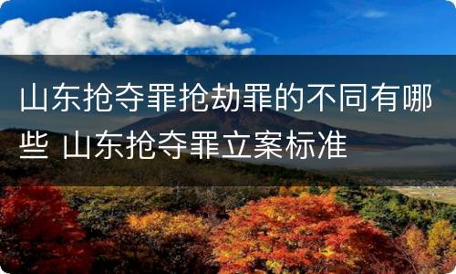 山东抢夺罪抢劫罪的不同有哪些 山东抢夺罪立案标准