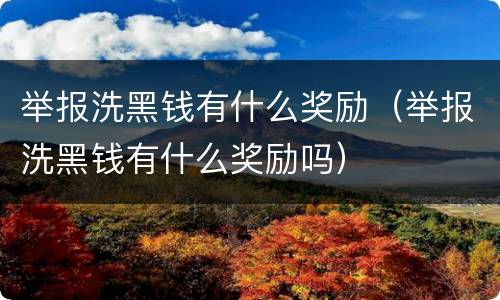 举报洗黑钱有什么奖励（举报洗黑钱有什么奖励吗）