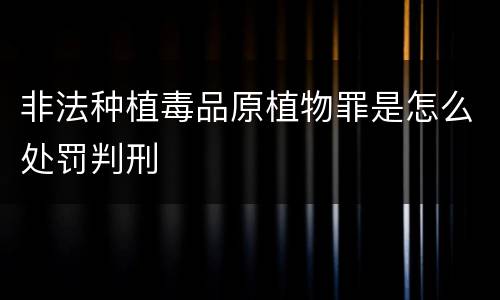 非法种植毒品原植物罪是怎么处罚判刑