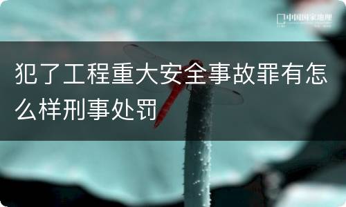 犯了工程重大安全事故罪有怎么样刑事处罚