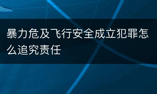 暴力危及飞行安全成立犯罪怎么追究责任