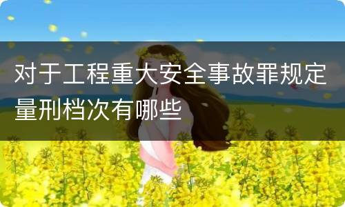 对于工程重大安全事故罪规定量刑档次有哪些
