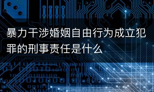 暴力干涉婚姻自由行为成立犯罪的刑事责任是什么