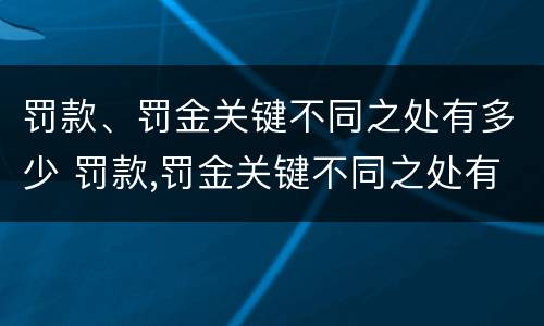 罚款、罚金关键不同之处有多少 罚款,罚金关键不同之处有多少倍
