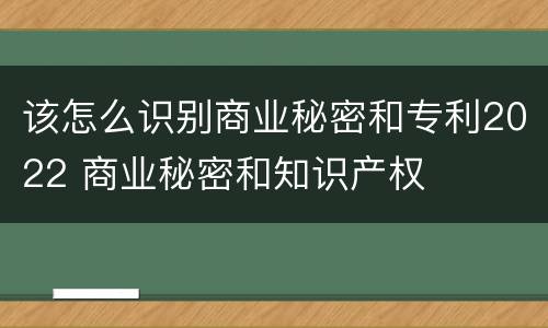 该怎么识别商业秘密和专利2022 商业秘密和知识产权