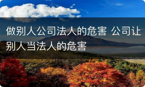 做别人公司法人的危害 公司让别人当法人的危害